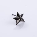 キングリモ　ロックスターピアス　ROCK STAR PIERCE　KLE17BKCZBCZ　King Limo　ピアス