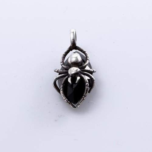 他の写真1: HUNTING SPIDER PENDANT